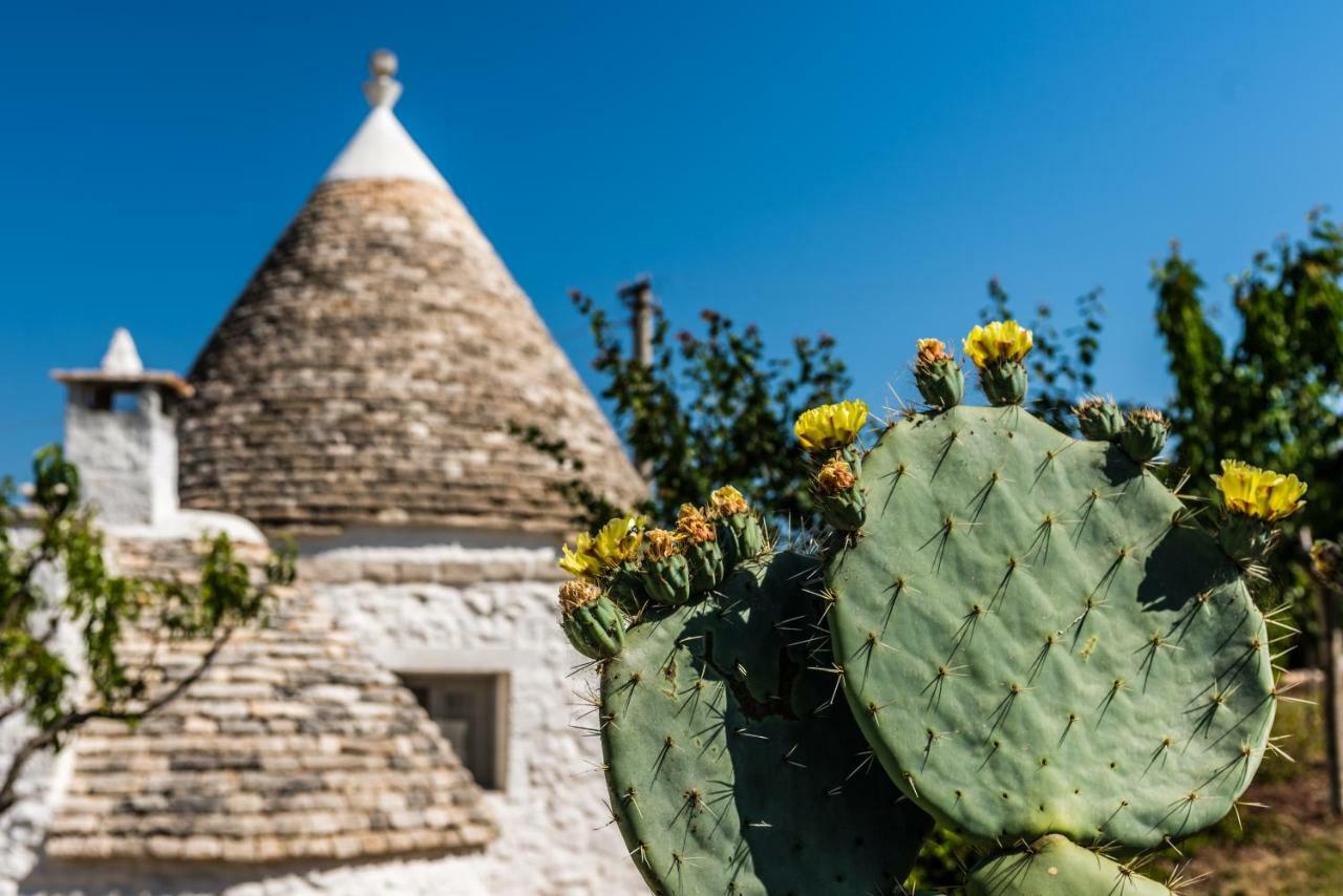 Trullo Picchiagiuda Villa Ostuni Buitenkant foto